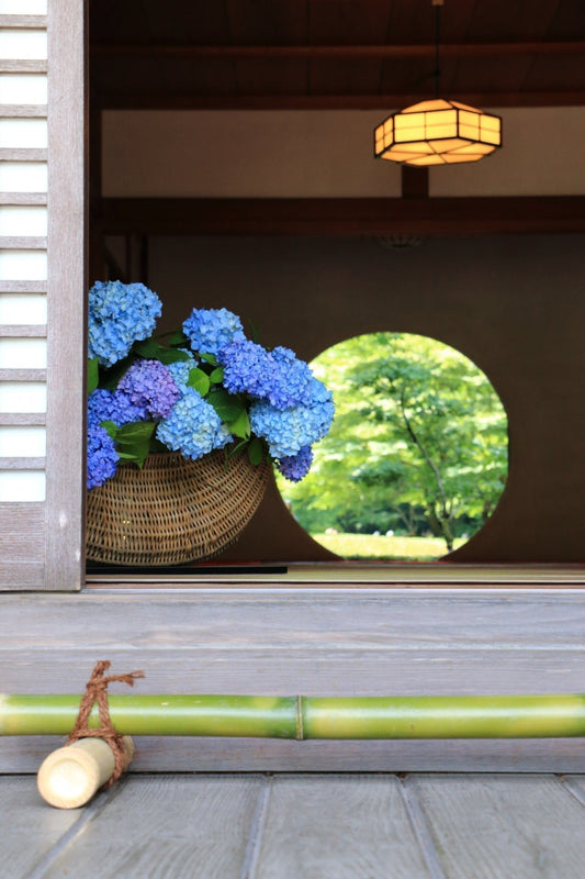 Temple Meigetsu-in, les hortensias et des nouvelles