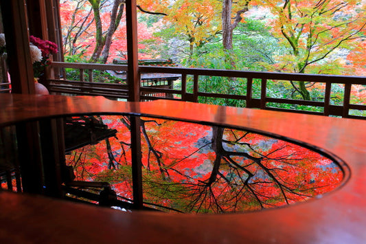 Photo en novembre : Arashiyama Yusai-tei, Kyoto